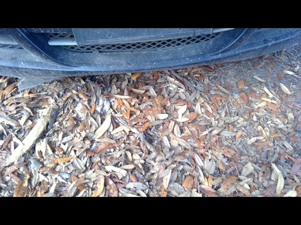 (BOX ONLY-NO TUBES) Air Cleaner Sedan Canada Market Fits 06 BMW 323i 1145772 - Image 4 of 4