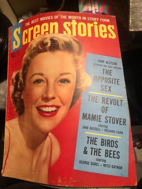 Screen  Stories Magazine