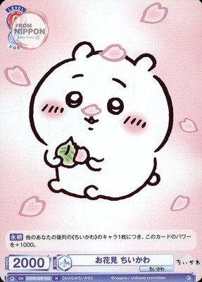 CIKW/02B-032[N]: Cherry Blossom Viewing Chikawa