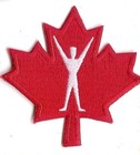Obsolete Modern Canadian Forces Physical Training Instructor Patch