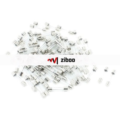 100Pieces 10A 250V Quick Fast Blow Glass Tube Fuses 6mm x30mm   Tone Clear  *nu