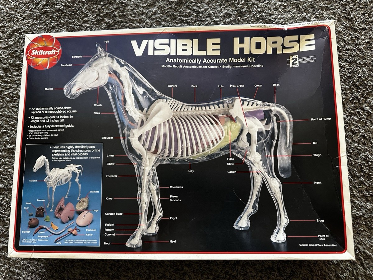 クリスタル　Running Horse クリスタル running horse