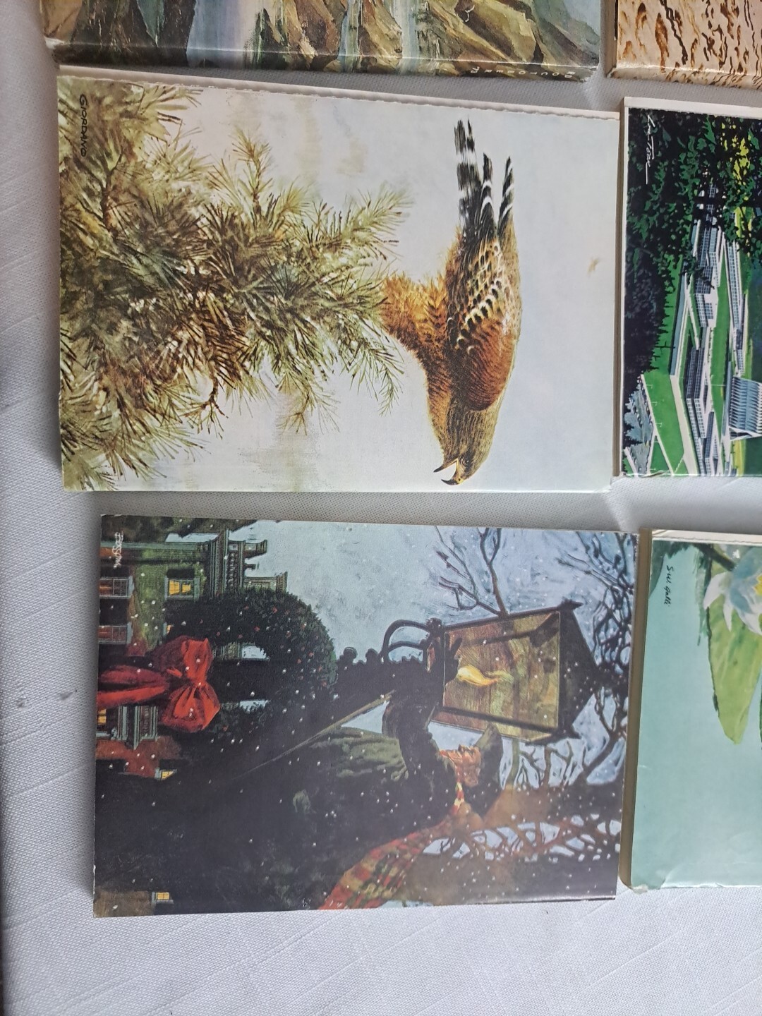 Picture 22 of 22