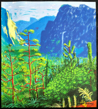 David Hockney Lithograph COA Original Signed Op Numbered Limited