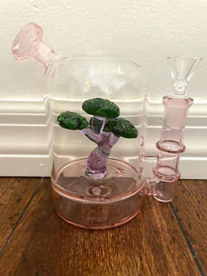 mini bonsai fr flaschengarten Terrarium DIY Set - Kreiere dein eigenes Mini-kosystem
