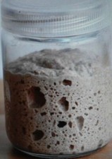 San Francisco SOURDOUGH STARTER 145 yo family heirloom Certified Organic SITE WF