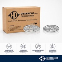 Blinkleuchtensatz Diederichs 4225178 FÜR CitroËN Peugeot