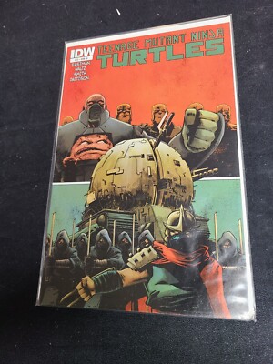 Teenage Mutant Ninja Turtles #37 Cover RI Variant 1:10 IDW 1st 2014 TMNT NM