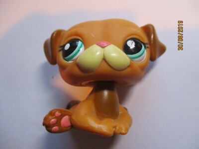 Figurine Pet Shop Chien Carlin N°1632 - Occasion - Collection Vintage