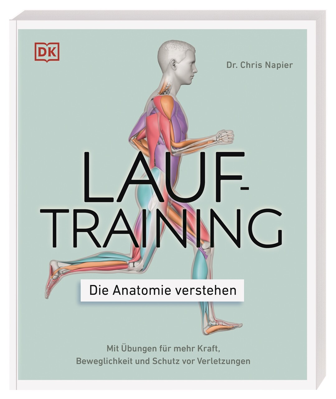 Thumbnail - Chris Napier / Lauftraining – Die Anatomie Verstehen