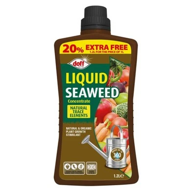 Doff Liquid Seaweed Plant Feed Concentrate All Purpose Food 1.2L Makes 360L