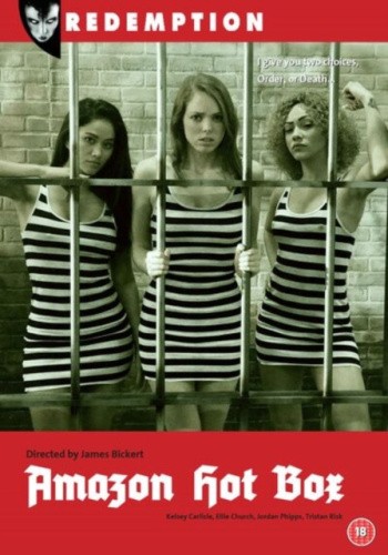 Amazon Hot Box [DVD] [Region Free] - DVD - New