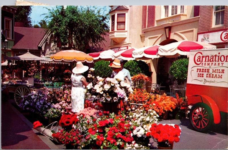 Disneyland Flower Mart Main Street Carnation Ice Cream Postcard