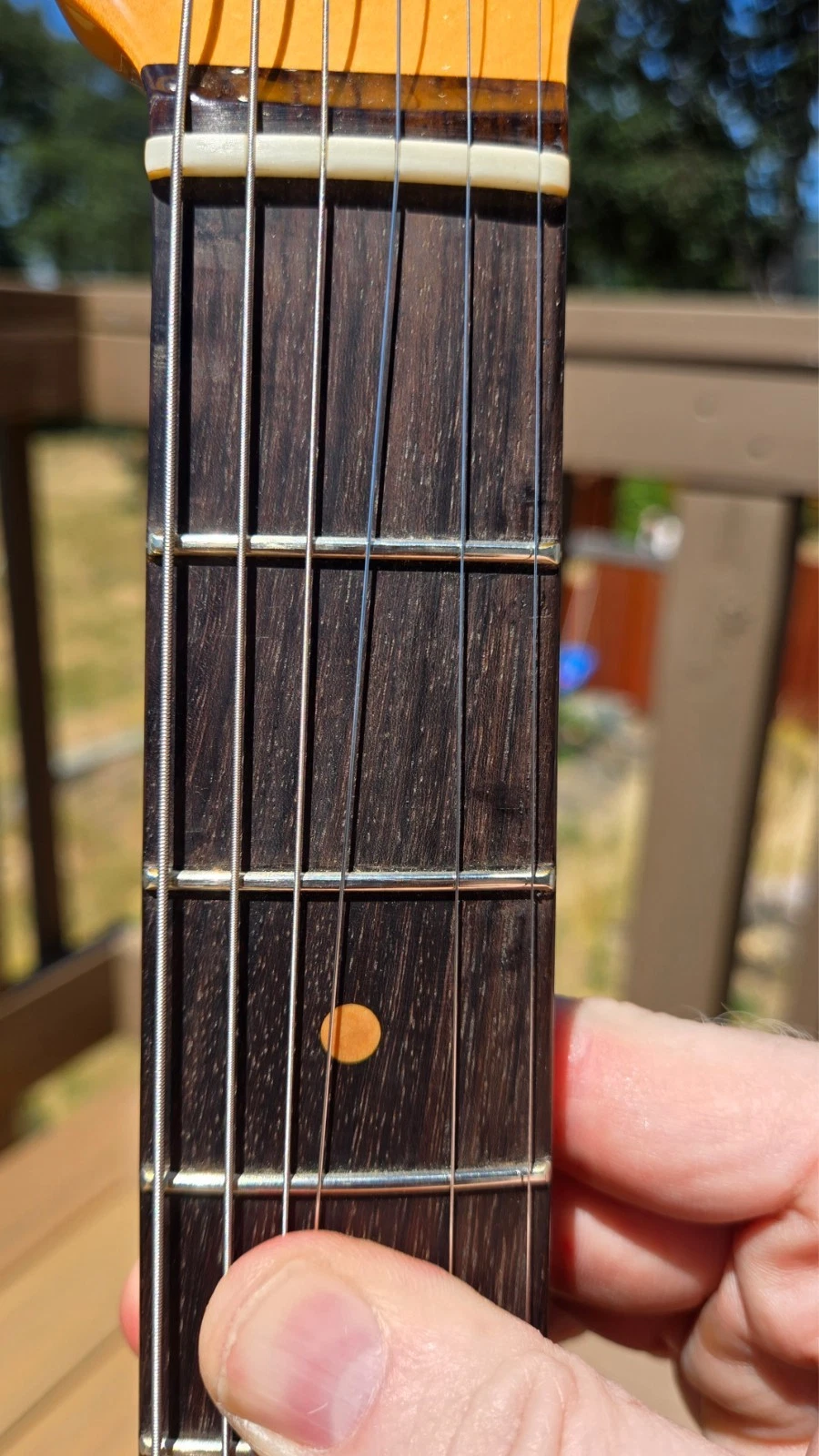Picture 8 of 21