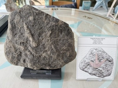 Tridactyl Dinosaurier Fußabdruck, Jurassic United Kingdom