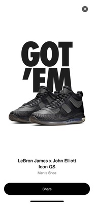 lebron 10 john elliott