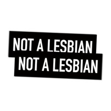 Not a Lesbian Car Magnet - 2-Pack 10"x3" Vinyl Funny Bumper Magnet This is a