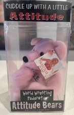 Vintage 1999 WWF Sable Attitude Bear in Plastic Case New Mint