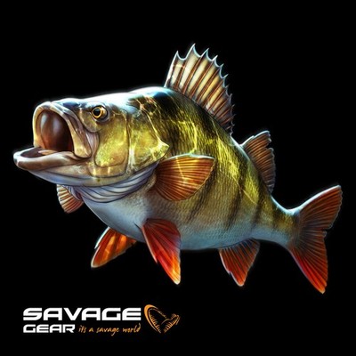 Savage Gear Barsch Box - Hard & Softlure Kunstköder Paket