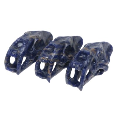 1pc 2.3'' BLUE-VEIN STONE Carved Saber-toothed Tiger Crystal Skull Healing