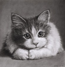 quadro originale 20,5 x 21 cm 11NO opera d'arte olio pennello secco realismo animale gatto