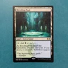 MTG NM: Breeding Pool - Ravnica Allegiance (RNA), Regular, English
