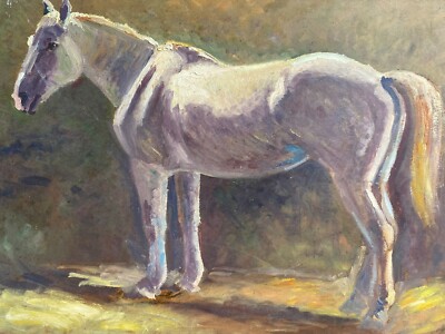 Étude De Cheval Sur Toile - Peinture Ancienne France, Début XXe, Portrait équestre
