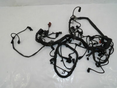 Original VW Phaeton 3D Motorkabelbaum Motor Leitungsastz 3D1971610J