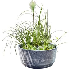 Solar Wassergarten AQUATOPIA inkl. Wasserspielpumpe - Miniteich, Dekoteich,