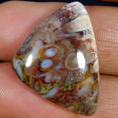 Natural Unique Palm Root Agate Fancy Cabochon Loose Gemstone 20.90Cts.