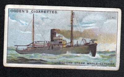 Vintage 1927 Whaling Ship Trade Card ''Modern Steam Whale-Catcher''