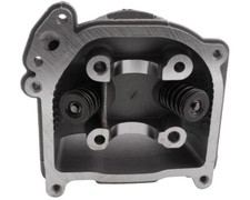 Zylinderkopf + SLS + Ventile 139QMB QMA REX R...