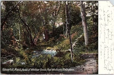 Postcard NATURE SCENE Haverhill Massachusetts MA o/19 AJ4175