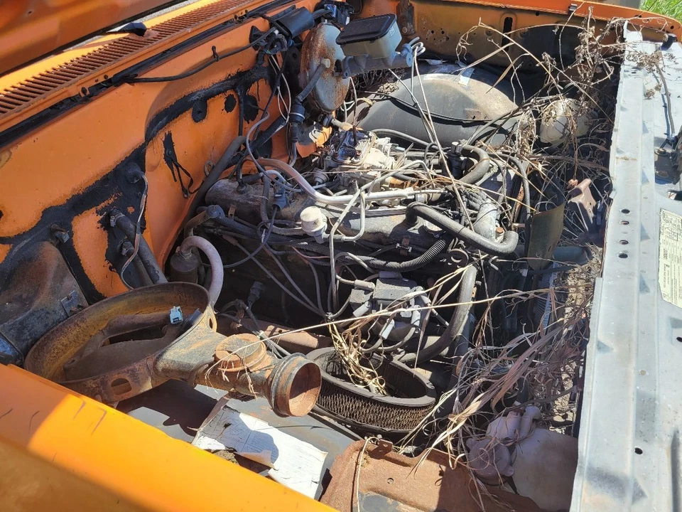 1982 CHEVOLET GMC 4.1 Passenger Window Regulator Fits 81-91 GMC PICKUP - Image 4 of 4