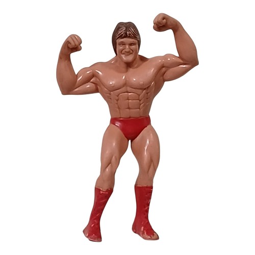 Vintage 1985 WWF LJN Titan Wrestling Superstars Mr...