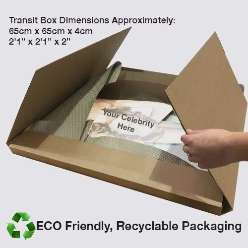 Albert Einstein (Beige) tamano natural - Imagen 3 de 4