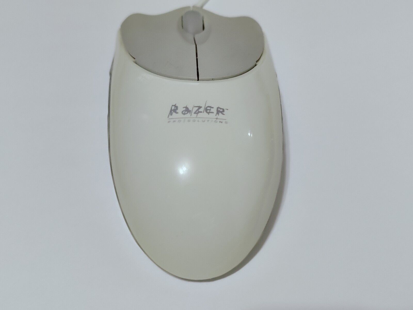 Picture 24 of 24