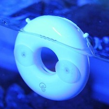 Brine Eggs Incubator Multipurpose Breeding Large Capacity Artemia Hatchery