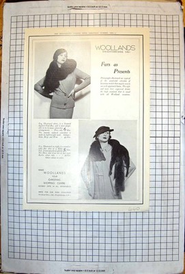 Antiker Druck Wollands Knightsbridge Pelze präsentiert Eichhörnchen Sitka Fuchs 1934