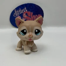 HUSKY DOG #1012 - Authentic Littlest Pet Shop - Hasbro LPS