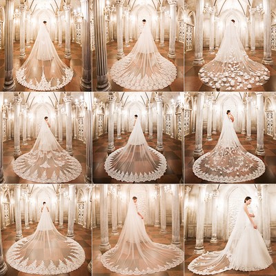 cathedral train veil