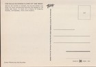 Neomorphinae ,1976 The Road Runner Clown of the West, Animal, Vintage Postcard — photo 2