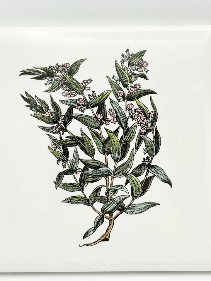 复古 Mid-State/Mannington MCT 瓷砖 4 3/8 英寸白色花卉植物口音 4 件套 — 第 4/4 张图片