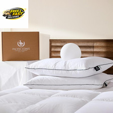Premium Goose Feather  down Bed Pillows Standard Size 2-Pack, Hotel Quality Col