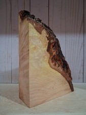 XL Wicked CURLY Maple Burl wood, Live Edge Maple, EPOXY WOOD, Pen Stock, Maple 