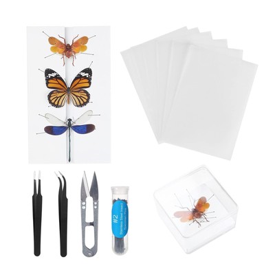 Specimen Tools for Classroom Teaching Flexible Entomology Kit Butterfly Hobbyist
