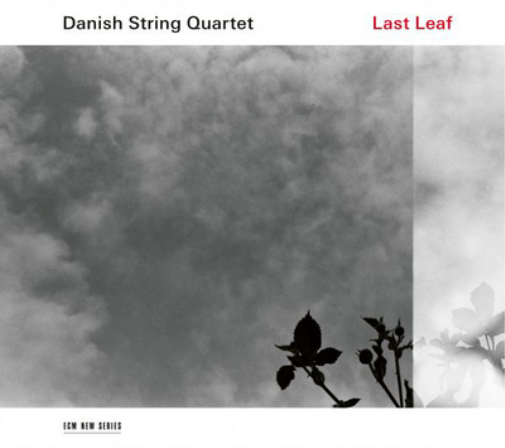 Danish String Quartet Danish String Quartet: Lost Leaf (CD) Album