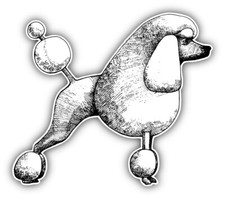Poodle Dog Sketch Car Bumper Sticker Decal