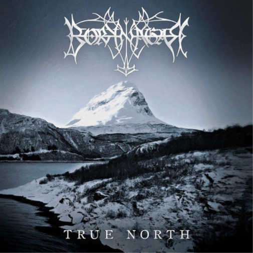 Borknagar True North (Vinyl LP)