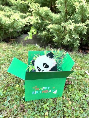 Entzückende 3D Pop-Up schüchterne Panda Happy Birthday Grußkarte & Umschlag